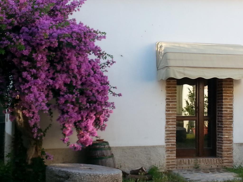 Agriturismo Malena Amica Eksteriør billede